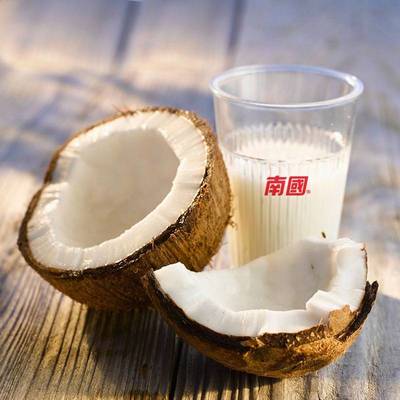 海南特產 南國食品 椰子粉 營養早餐 高鈣椰子粉450g - 京東