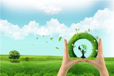 綠色環保作文:我愛綠色生活