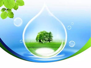 每日聚焦 保護(hù)環(huán)境是每個人的義務(wù)